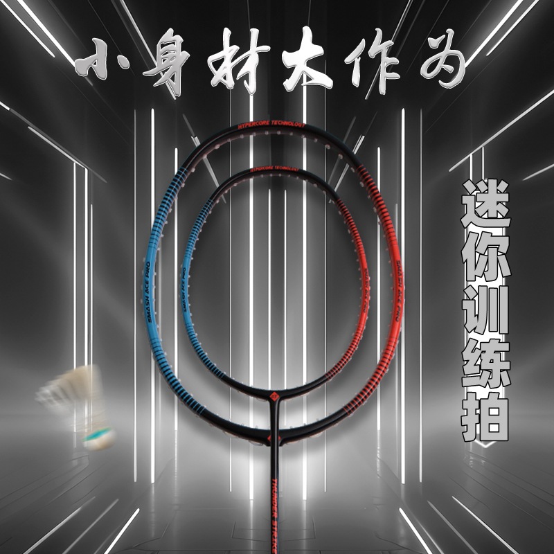 Badmintonracket Volledig carbo - Badminton Photo recensie en prijs